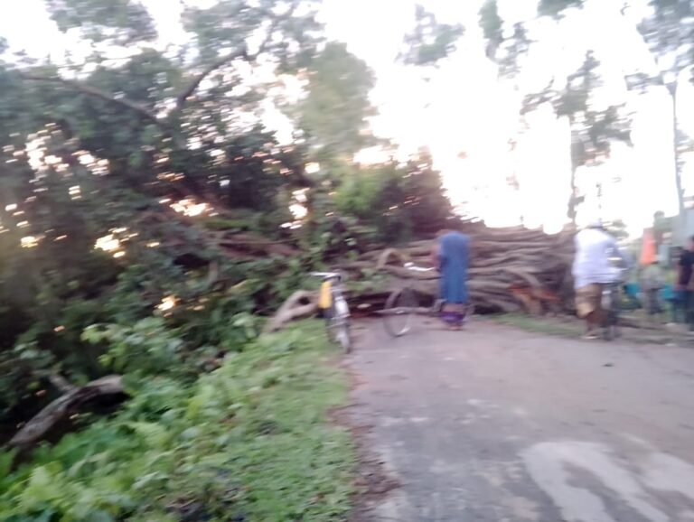 IMG-20250726-WA0155